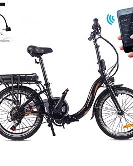 Fafrees 20F054 Folding Electric Bike 20 Inch with 36V 10.4Ah Battery, 250W Motor Folding E-bike for Adults Max. 25 km/h, Ebikes Bicycle Commuting Shimano 7-Speed